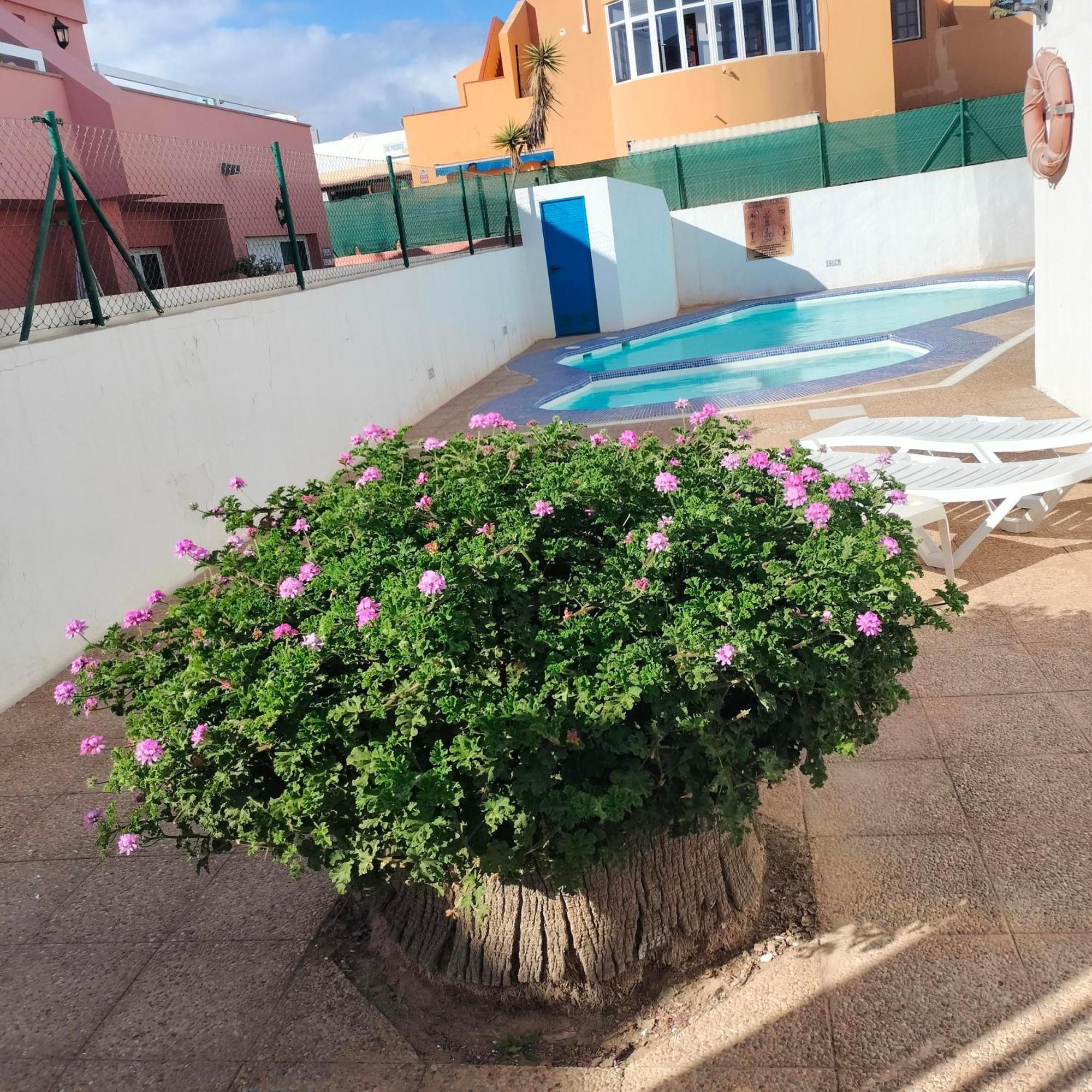 Vivienda Vacacional Alipatri กาเลตาเดฟุสเต ภายนอก รูปภาพ